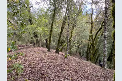 3100 Mill Creek Road, Healdsburg, CA 95448 - Photo 37