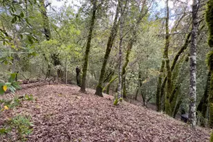 3100 Mill Creek Rd, Healdsburg, CA 95448 - Photo 37