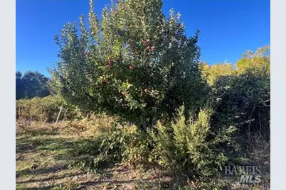 11255 Rancheria Road, Upper Lake, CA 95485 - Photo 35