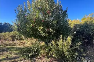 11255 Rancheria Rd, Upper Lake, CA 95485 - Photo 35