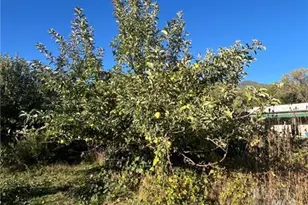 11255 Rancheria Rd, Upper Lake, CA 95485 - Photo 39