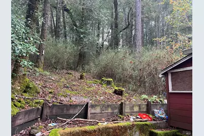 6075 Austin Creek Road, Cazadero, CA 95421 - Photo 3
