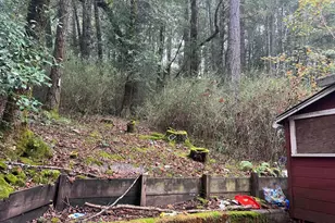 6075 Austin Creek Rd, Cazadero, CA 95421 - Photo 3