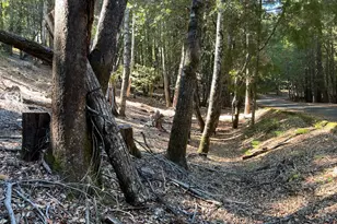 27208 Bear Cir, Willits, CA 95490 - Photo 1