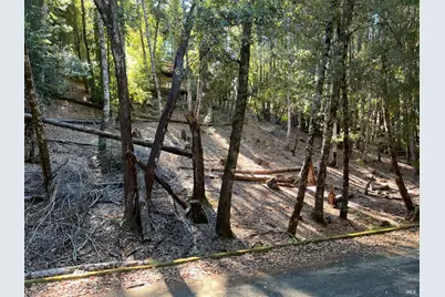 27208 Bear Circle, Willits, CA 95490 - Photo 3