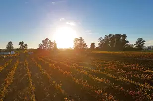 2110 Cuttings Wharf Rd, Napa, CA 94559 - Photo 11