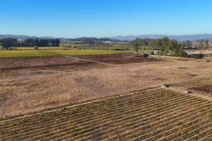 2110 Cuttings Wharf Rd, Napa, CA 94559 - Photo 3