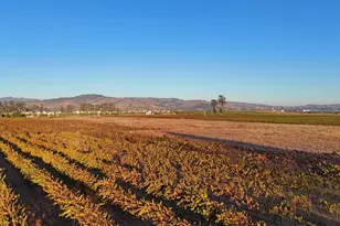 2110 Cuttings Wharf Rd, Napa, CA 94559 - Photo 5