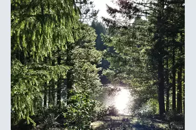 2713 Primrose Drive, Willits, CA 95490 - Photo 11