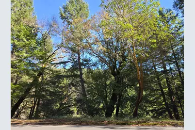 2713 Primrose Drive, Willits, CA 95490 - Photo 5