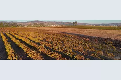 2110 Cuttings Wharf Road, Napa, CA 94559 - Photo 5