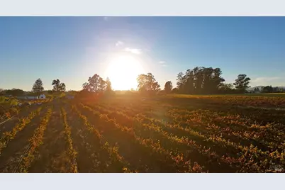 2110 Cuttings Wharf Road, Napa, CA 94559 - Photo 11