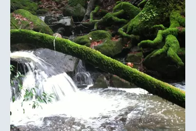 631 Sunnyside Road, Saint Helena, CA 94574 - Photo 9