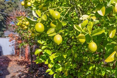 130 11th Street, Santa Rosa, CA 95401 - Photo 25