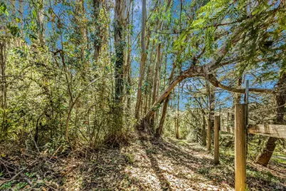 3590 Burnside Road, Sebastopol, CA 95472 - Photo 55