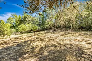 3590 Burnside Rd, Sebastopol, CA 95472 - Photo 57