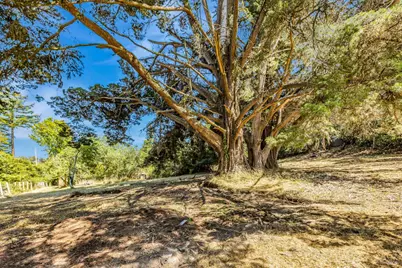 3590 Burnside Road, Sebastopol, CA 95472 - Photo 53