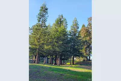 3778 Burke Place, Sonoma, CA 95476 - Photo 81