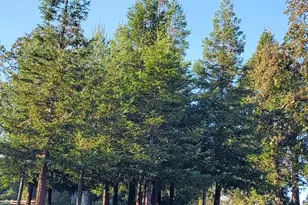 3778 Burke Pl, Sonoma, CA 95476 - Photo 81