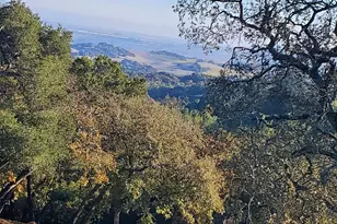 3778 Burke Pl, Sonoma, CA 95476 - Photo 79