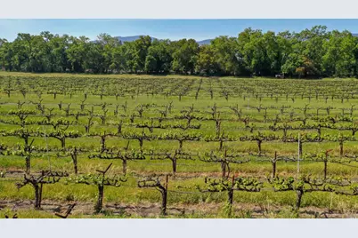 3 Zinfandel Lane, Saint Helena, CA 94574 - Photo 11