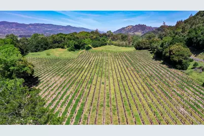 3 Zinfandel Lane, Saint Helena, CA 94574 - Photo 9