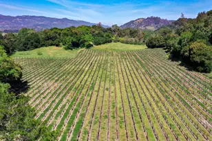 3 Zinfandel Ln, Saint Helena, CA 94574 - Photo 9