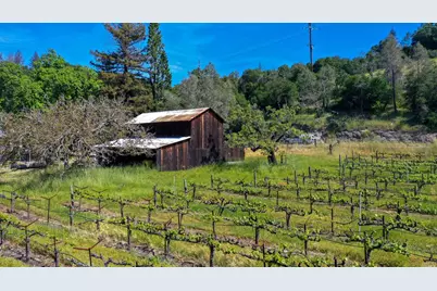 3 Zinfandel Lane, Saint Helena, CA 94574 - Photo 5