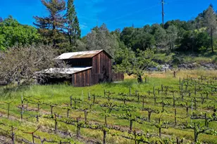 3 Zinfandel Ln, Saint Helena, CA 94574 - Photo 5