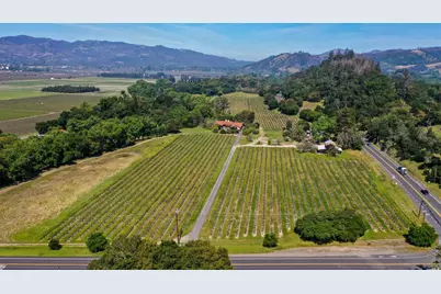 3 Zinfandel Lane, Saint Helena, CA 94574 - Photo 7