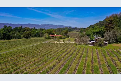 3 Zinfandel Lane, Saint Helena, CA 94574 - Photo 3