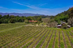3 Zinfandel Ln, Saint Helena, CA 94574 - Photo 3