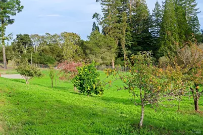 789 Pleasant Hill Road, Sebastopol, CA 95472 - Photo 41