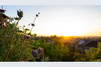 530 Jade Street, Petaluma, CA 94952 - Photo 51