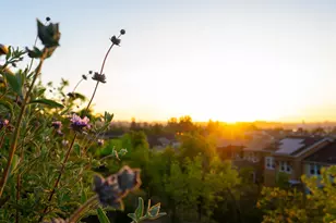 530 Jade St, Petaluma, CA 94952 - Photo 51