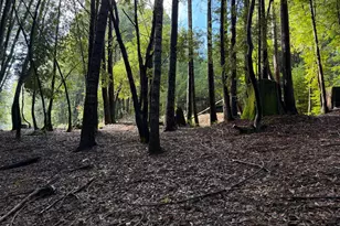 27089 Otter Ct, Willits, CA 95490 - Photo 1