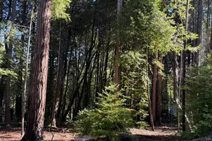 27089 Otter Ct, Willits, CA 95490 - Photo 1