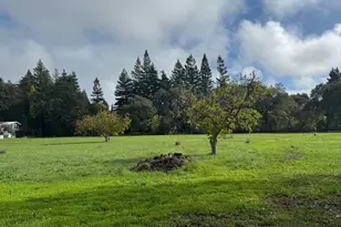 4300 Cereda Ln, Fairfield, CA 94534 - Photo 13