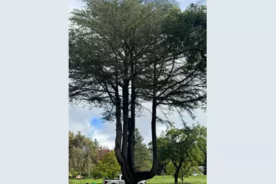 4300 Cereda Lane, Fairfield, CA 94534 - Photo 3