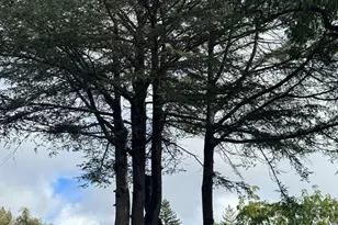 4300 Cereda Ln, Fairfield, CA 94534 - Photo 3