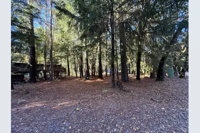 770 Branscomb Road, Laytonville, CA 95454 - Photo 41