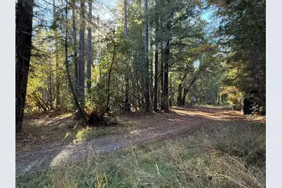 770 Branscomb Road, Laytonville, CA 95454 - Photo 37