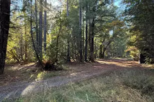 770 Branscomb Rd, Laytonville, CA 95454 - Photo 37