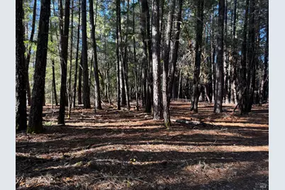 770 Branscomb Road, Laytonville, CA 95454 - Photo 33