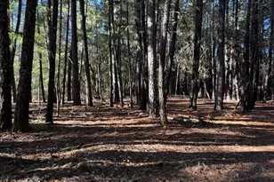 770 Branscomb Rd, Laytonville, CA 95454 - Photo 33