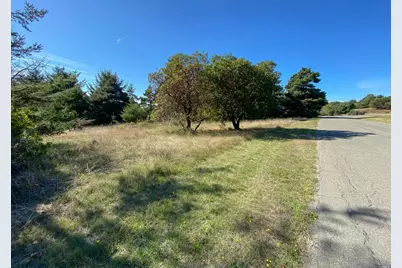 41179 Deer Trail, The Sea Ranch, CA 95497 - Photo 9