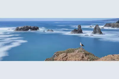 41179 Deer Trail, The Sea Ranch, CA 95497 - Photo 17