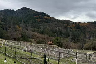 6565 Spyrock Rd, Laytonville, CA 95454 - Photo 35