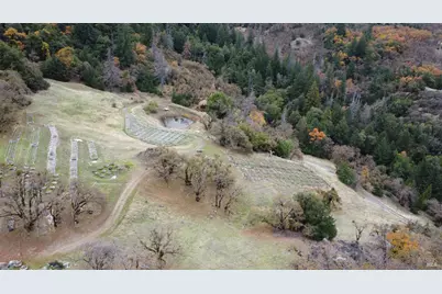 6565 Spyrock Road, Laytonville, CA 95454 - Photo 3