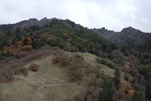 6565 Spyrock Rd, Laytonville, CA 95454 - Photo 23